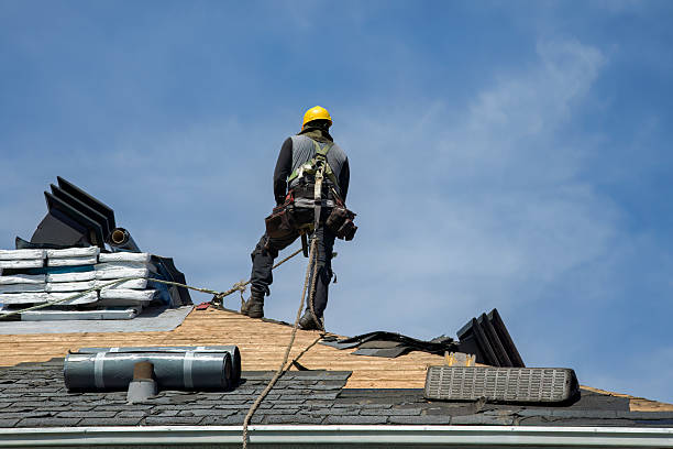 Professional Roofing technician working in Haines City, FL